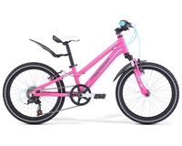 Велосипед Merida Matts J20 Girl