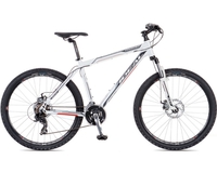 Велосипед Ideal Freeder Disc 26