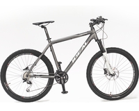 Велосипед Ideal Boommax 26