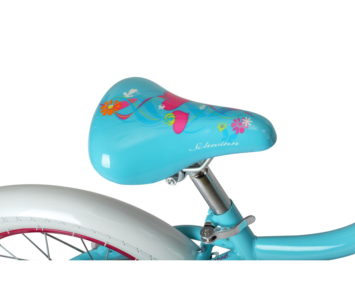 schwinn iris