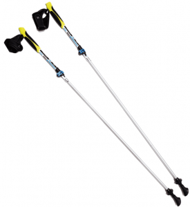 Палки BTrace NW Nova