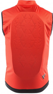Защита спины Dainese Scarabeo Flex Lite