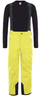 Брюки The North Face Y Snow Susp Plus