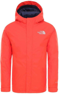 Куртка The North Face Y Snow Quest