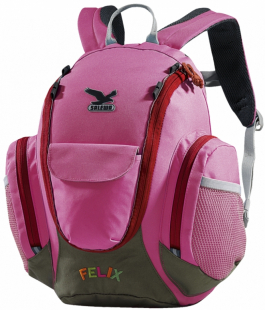 Рюкзак Salewa Felix