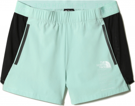 Шорты The North Face Women Glacier Shorts