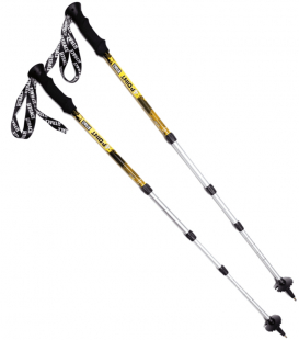 Палки BTrace 4Point