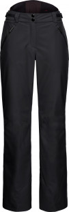 Горнолыжные брюки Head Sierra Pants W