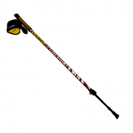 Палки для скандинавской ходьбы Talberg Nordica Pole